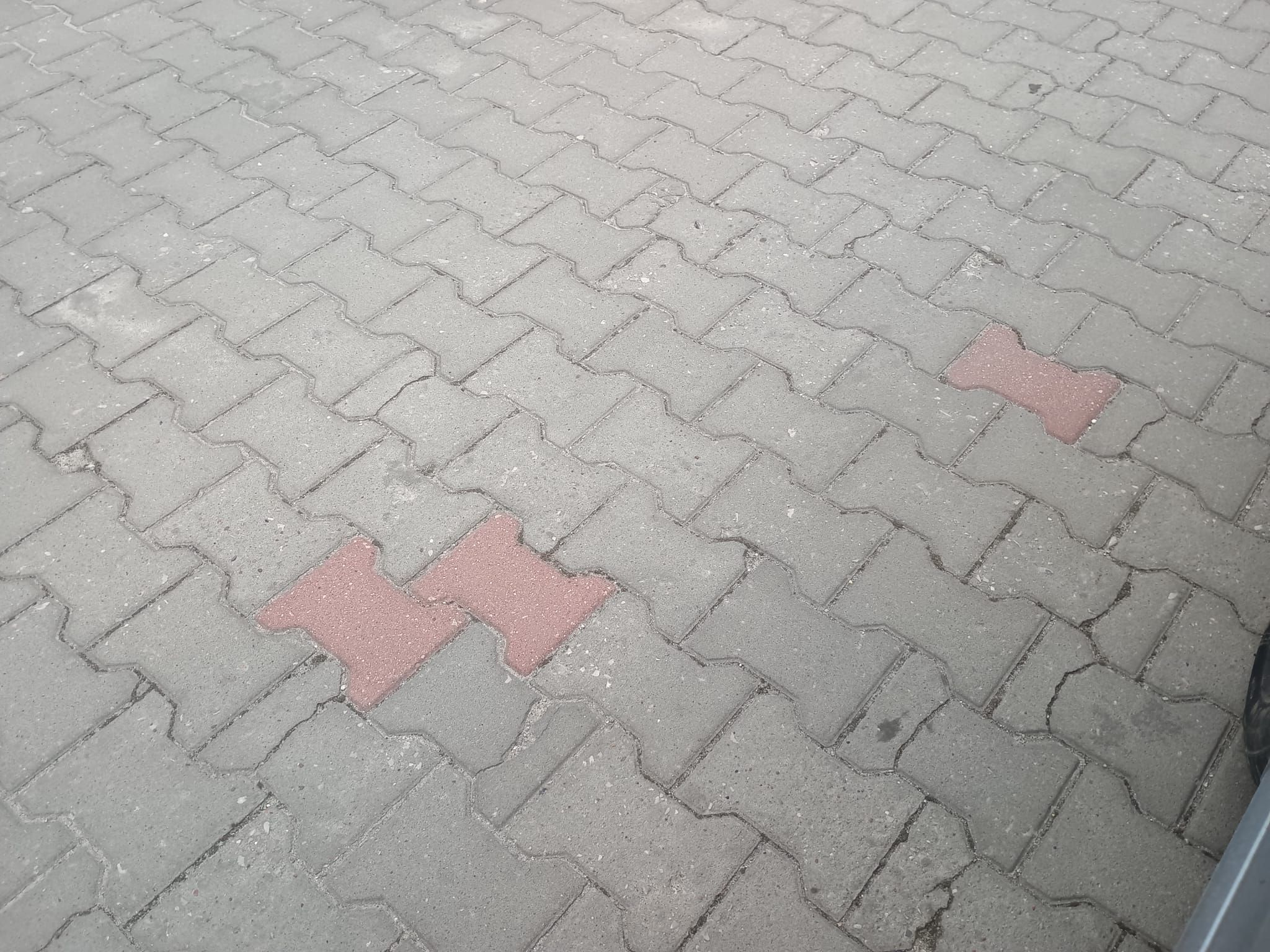 powiększ zdjęcie 