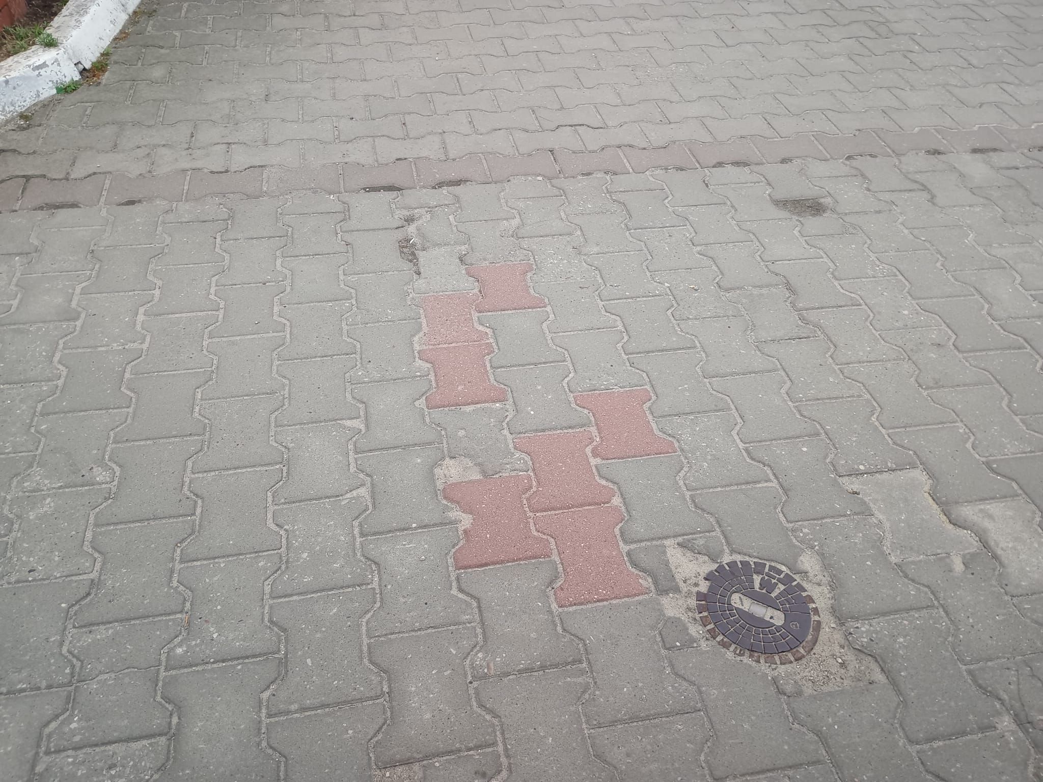 powiększ zdjęcie 
