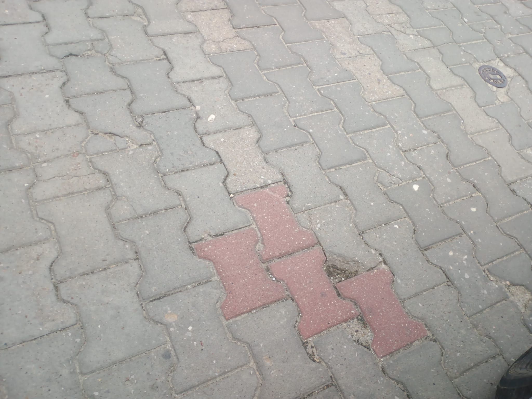 powiększ zdjęcie 